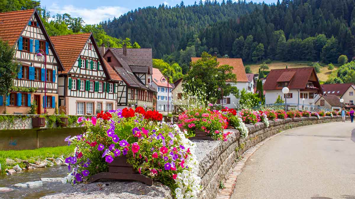germany black forest campsites