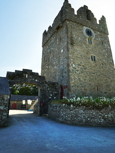 Castle ward tower in Northern Ireland